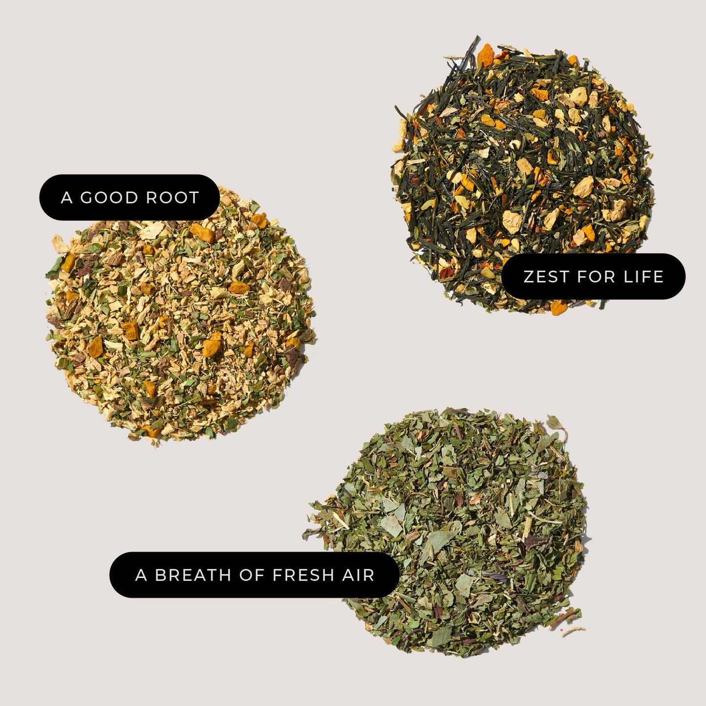 The Adventurer 8-Tea Bundle - Firebelly Tea