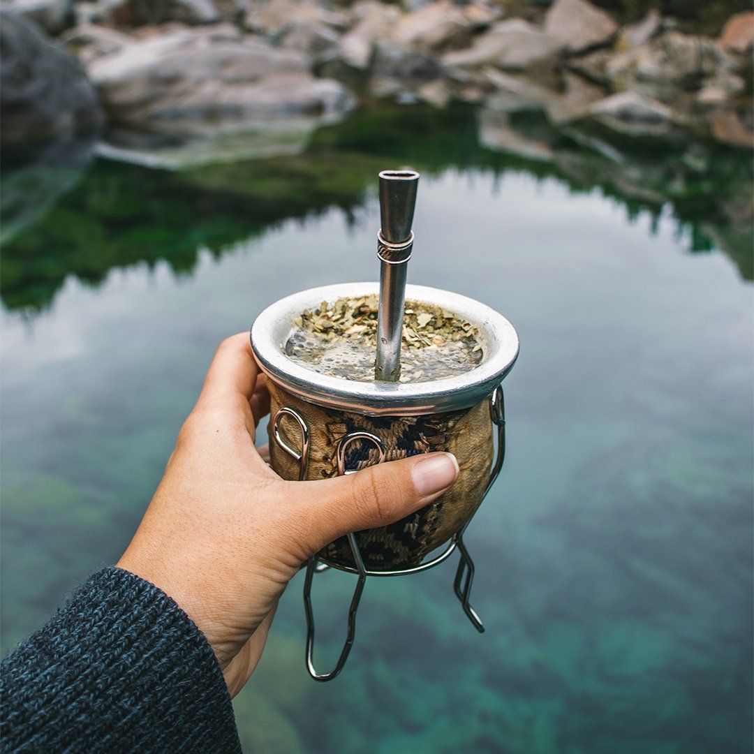 All About Yerba Mate and its Amazing Health Benefits - Firebelly Tea