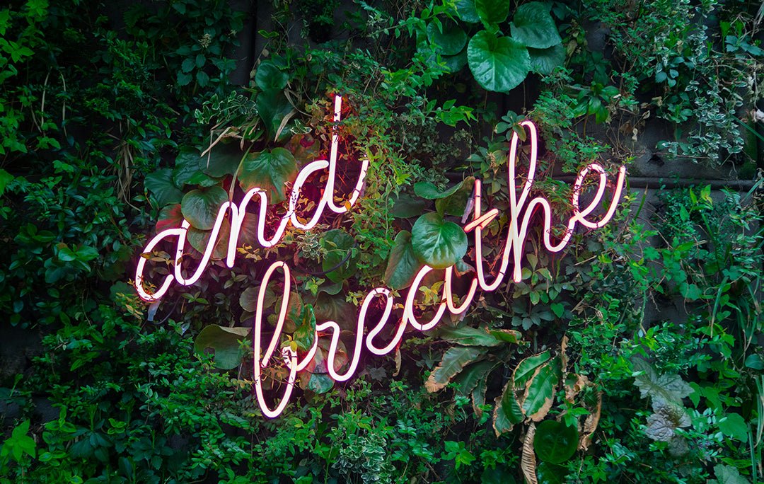 Soothing Solutions: Harnessing The Power Of Tea For Anxiety Relief - Firebelly Tea CA