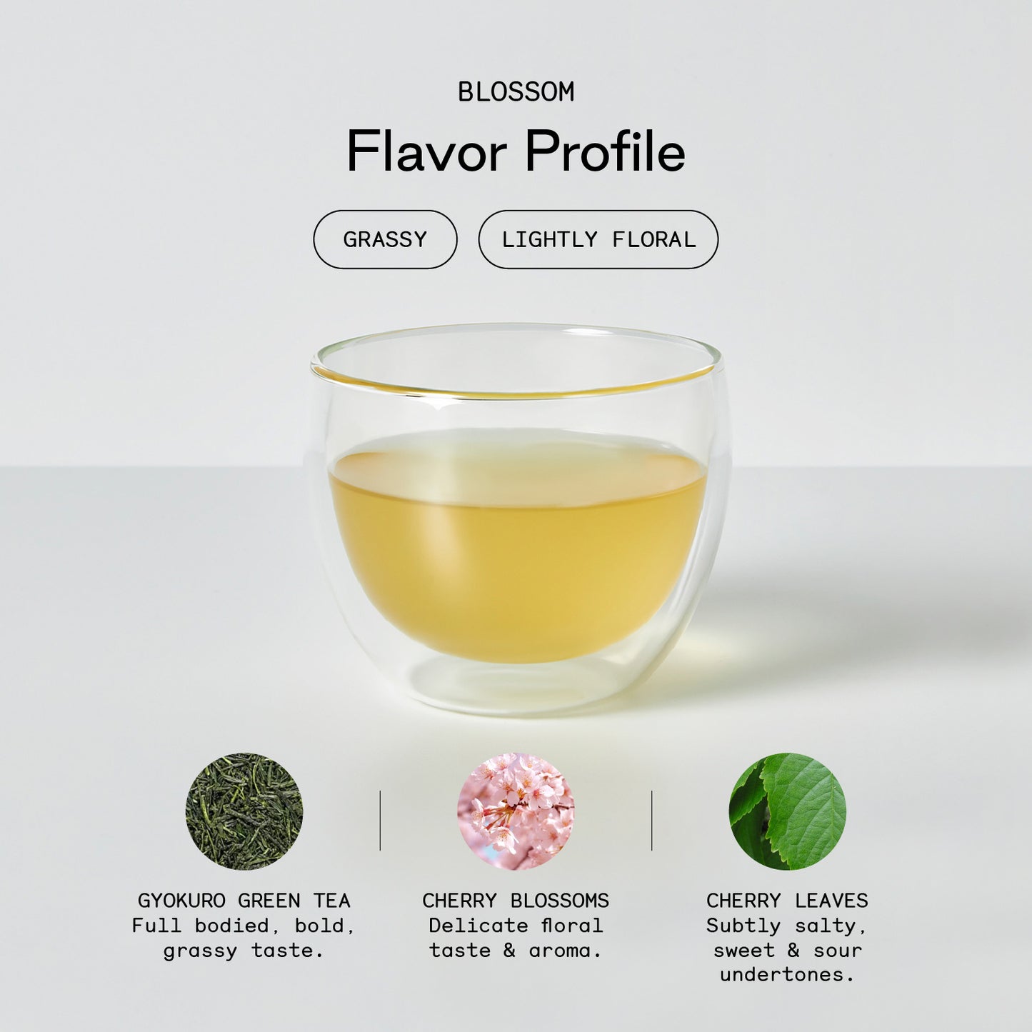 Blossom - Firebelly Tea USA