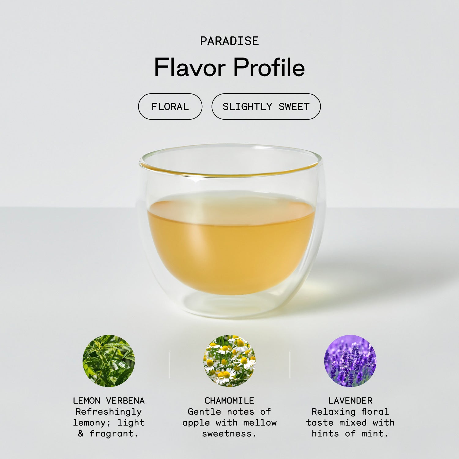 Paradise - Firebelly Tea USA